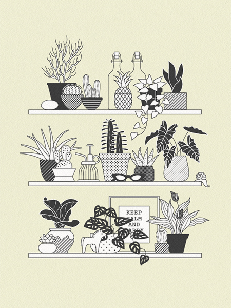 Houseplants